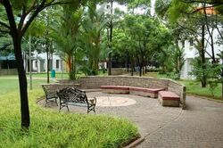 Blk 249 Compassvale Haven (Sengkang), HDB 4 Rooms #638180521